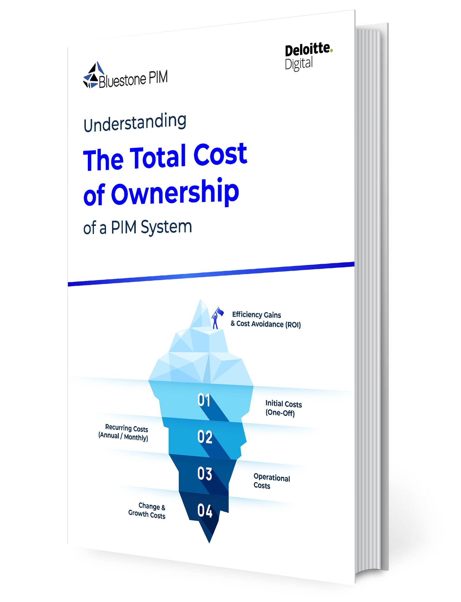 TCO Whitepaper PNG