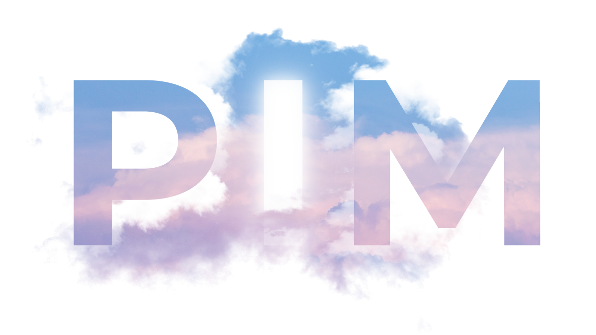 3 Best Practices For PIM Implementation