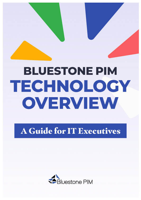 Bluestone PIM Technology Overview A Guide for IT Executives