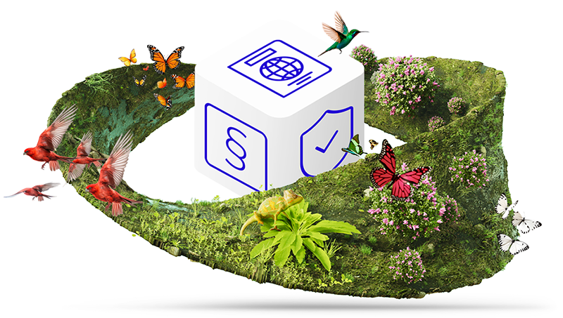 How to Create a Digital Product Passport-thumbnail