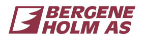 Bergene-holm