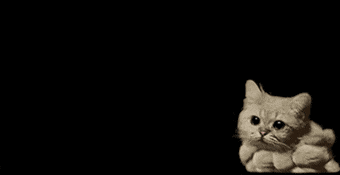 cat that moves like a cloud