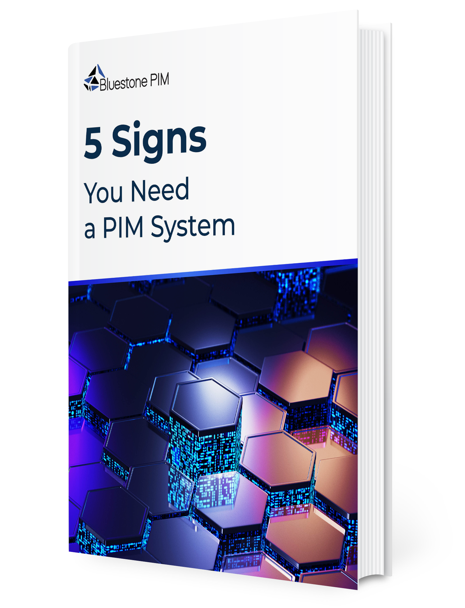 _--5-Signs-You-Need-a-PIM-System-book