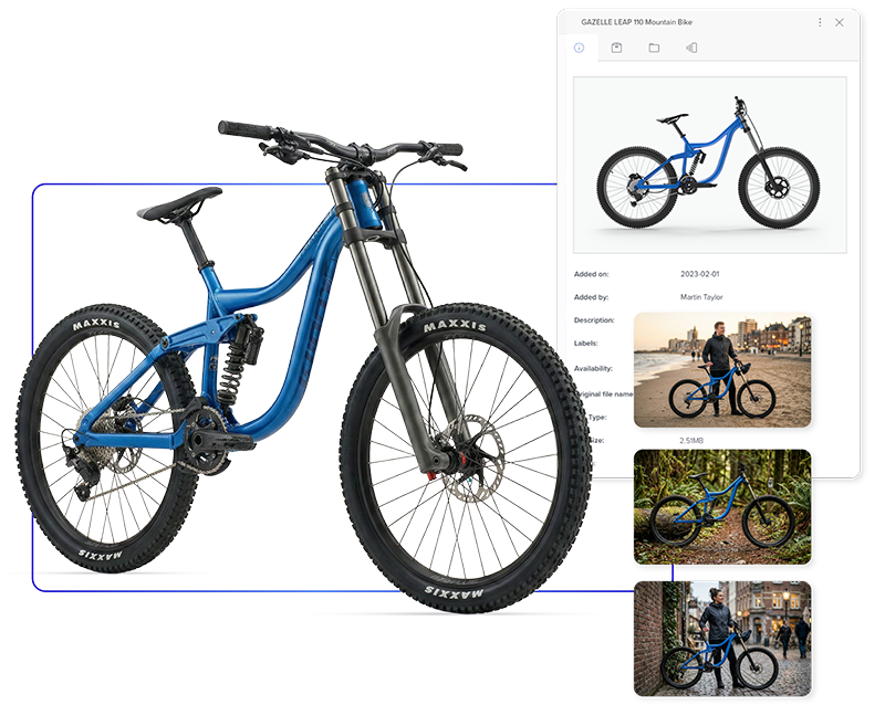 AI DAM UI and product photos AI DAM UI and product photos