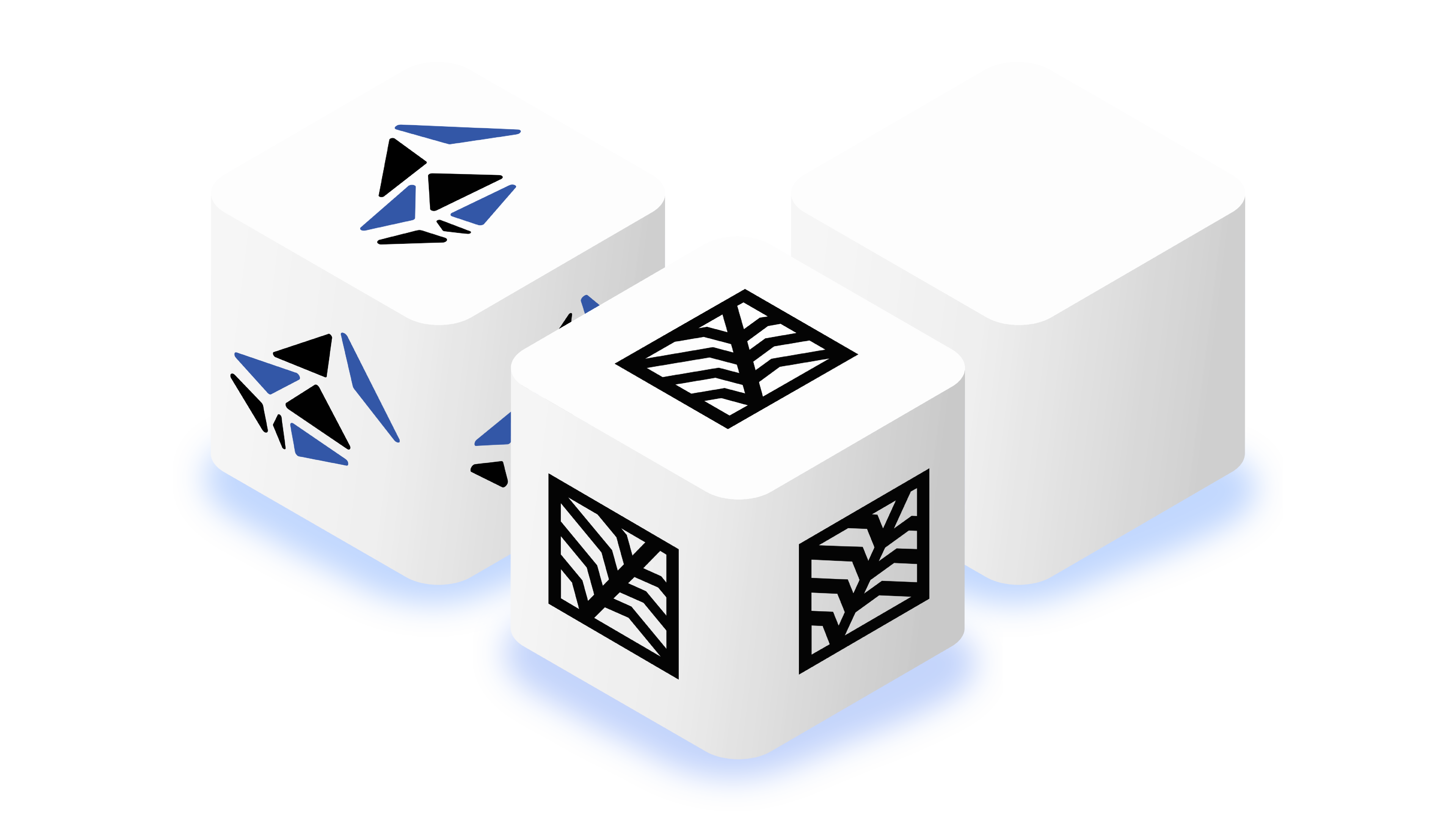 Evolve by Lab Digital