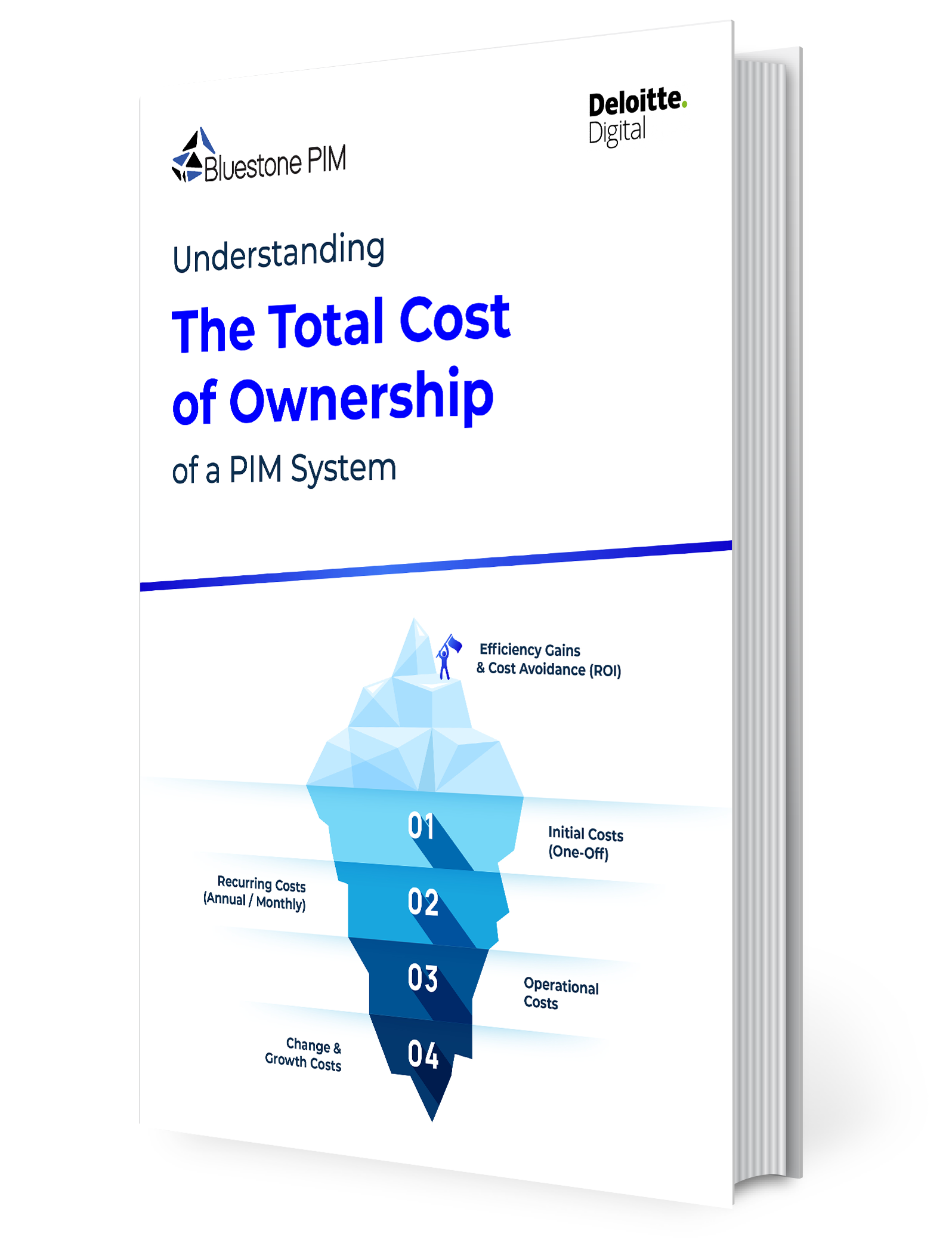 the Total Cost of Ownership-coverfinal